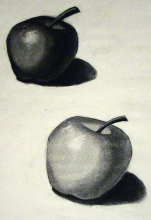 Pair of apples drawn in charcoal