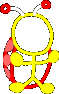 The Ladybug