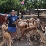 Jessica is mobbed by deer while feeding them at the Grand Canyon Deer Farm in Williams, AZ. (7/25/2014)